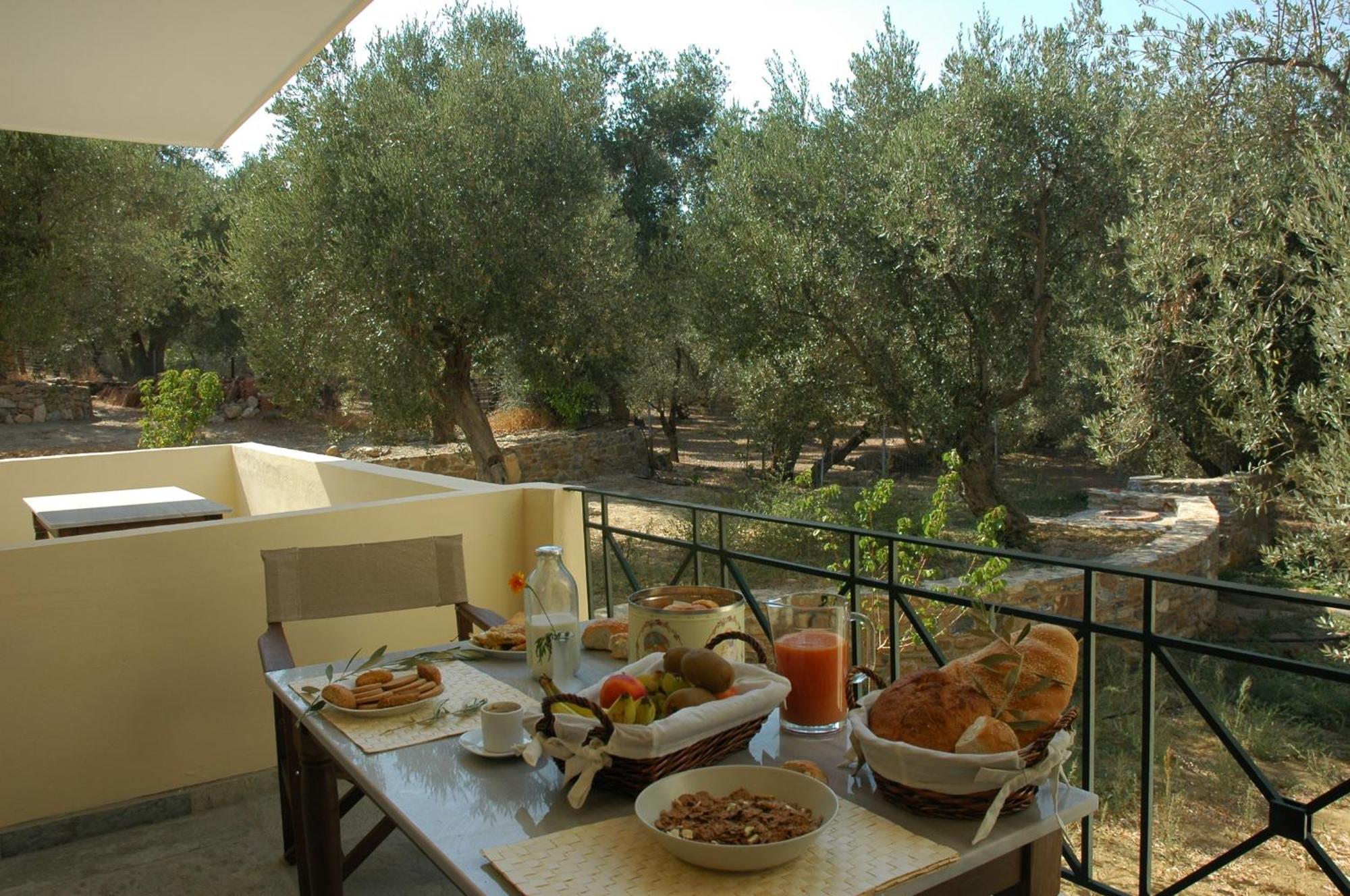Gera'S Olive Grove - Elaionas Lesvou Hotell Marmaro  Exteriör bild