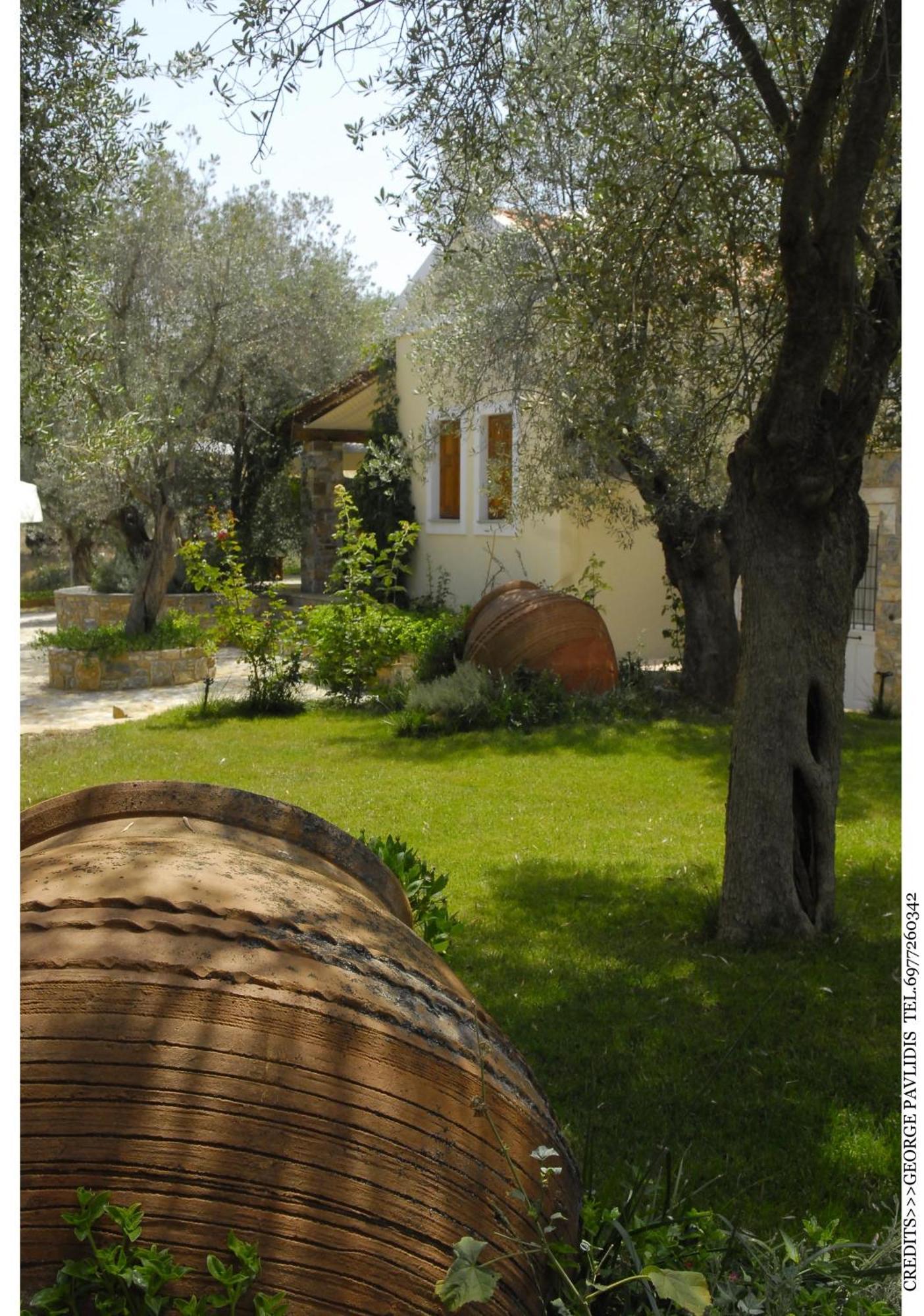 Gera'S Olive Grove - Elaionas Lesvou Hotell Marmaro  Exteriör bild