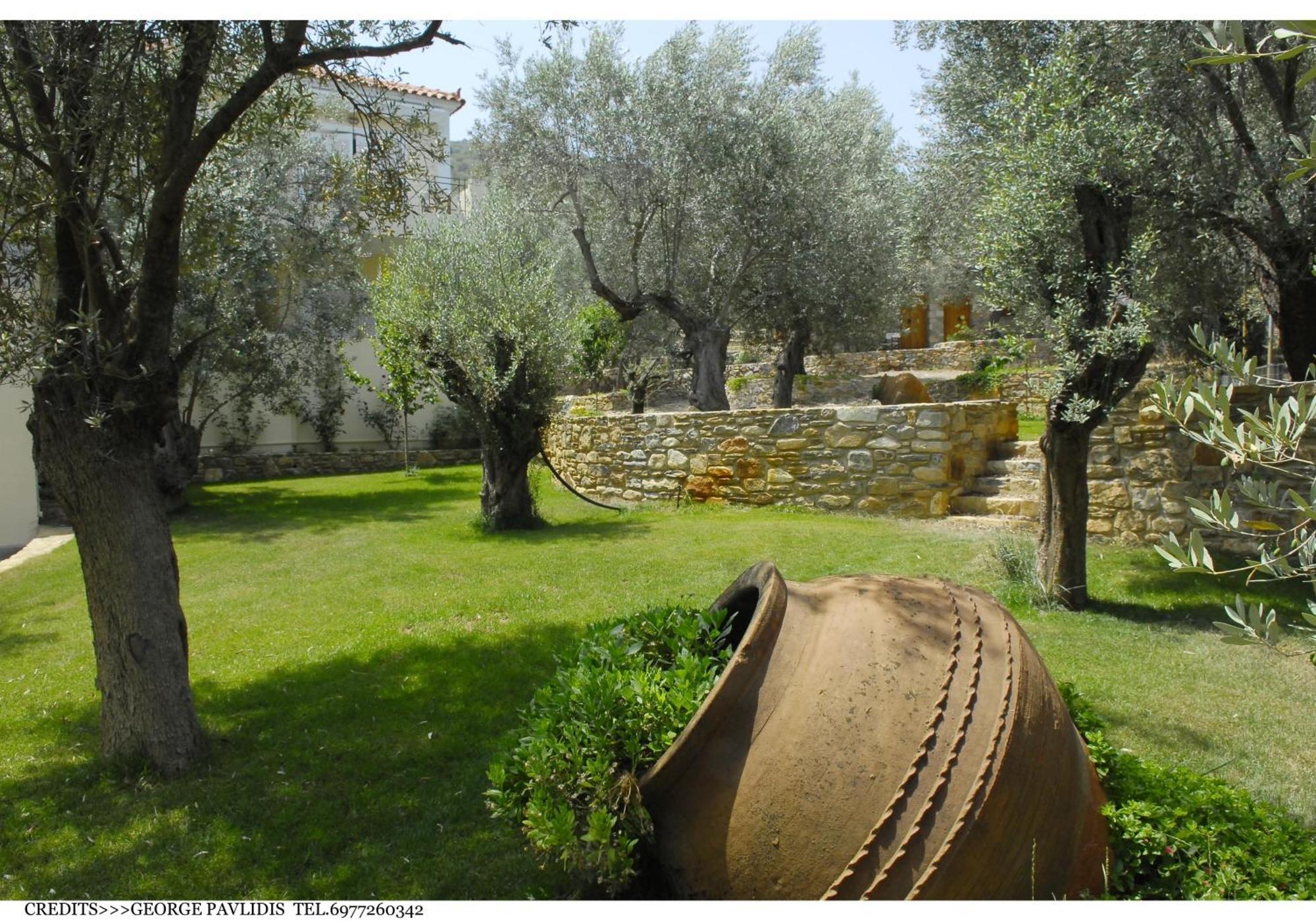 Gera'S Olive Grove - Elaionas Lesvou Hotell Marmaro  Exteriör bild