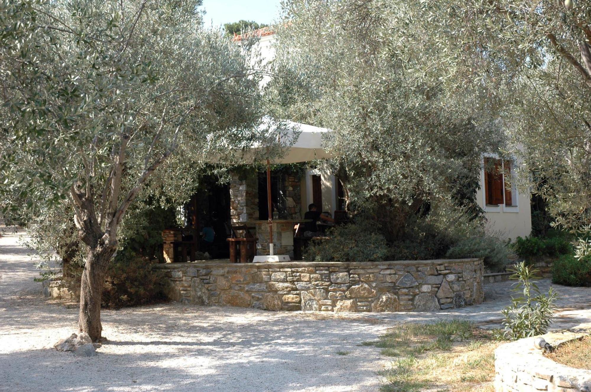 Gera'S Olive Grove - Elaionas Lesvou Hotell Marmaro  Exteriör bild