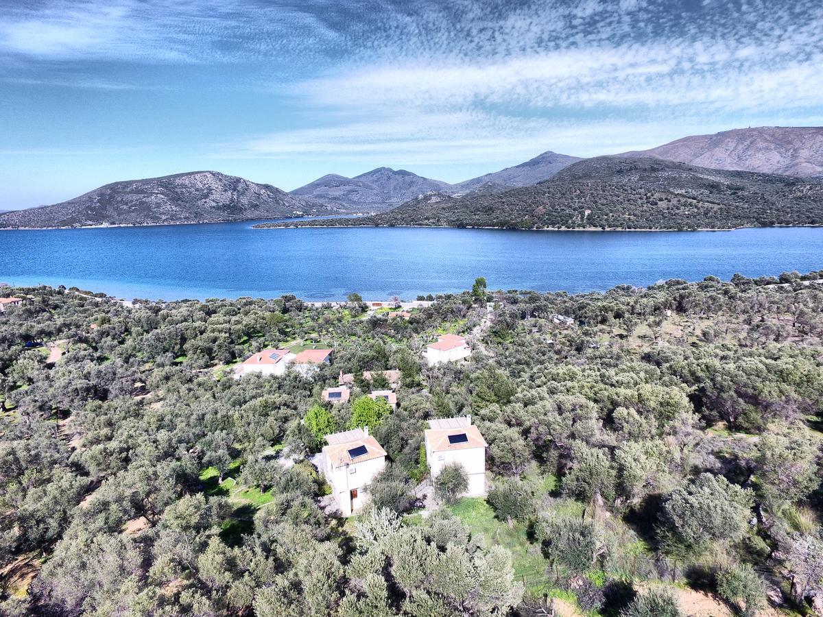 Gera'S Olive Grove - Elaionas Lesvou Hotell Marmaro  Exteriör bild