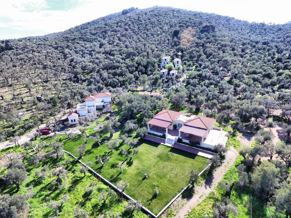 Gera'S Olive Grove - Elaionas Lesvou Hotell Marmaro  Exteriör bild