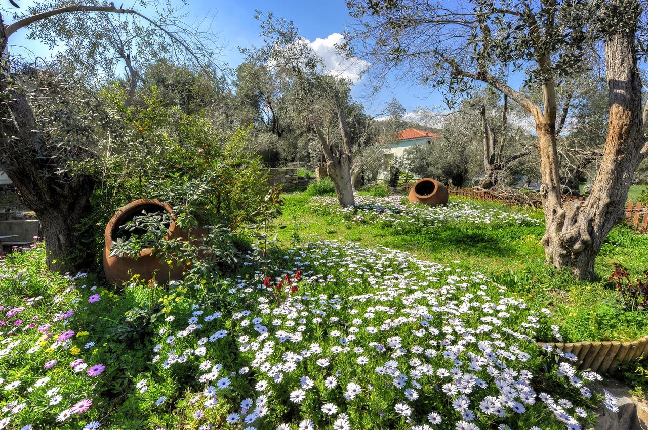 Gera'S Olive Grove - Elaionas Lesvou Hotell Marmaro  Exteriör bild
