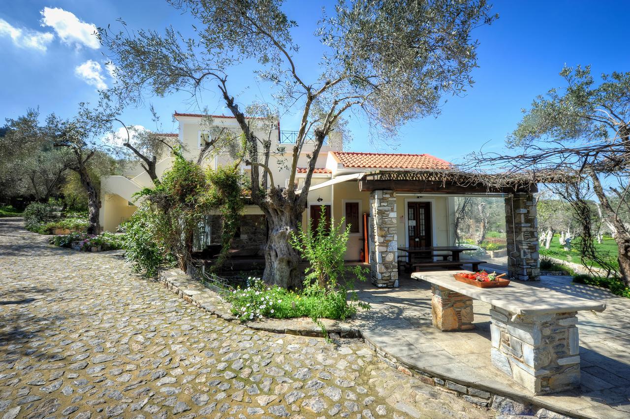 Gera'S Olive Grove - Elaionas Lesvou Hotell Marmaro  Exteriör bild