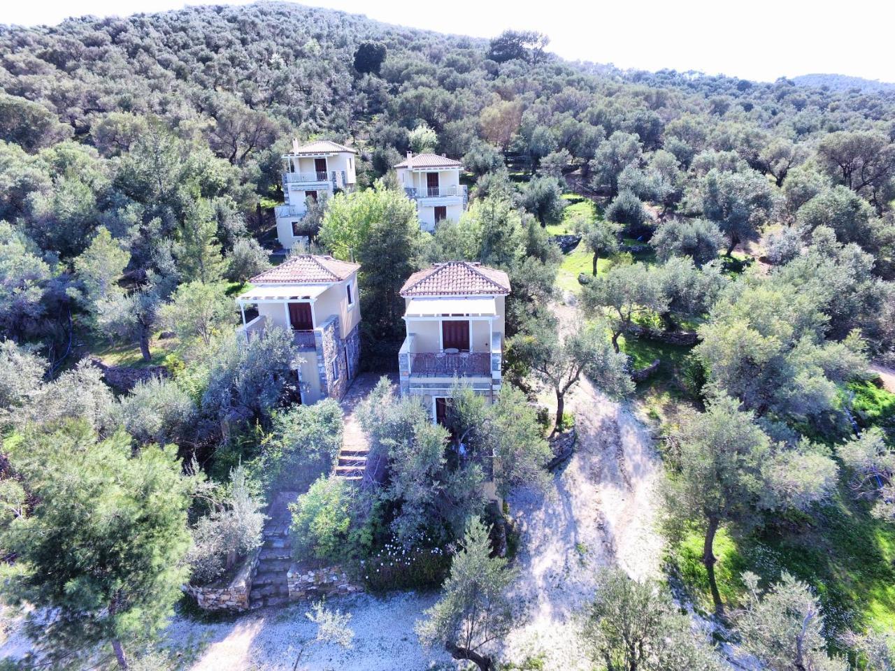 Gera'S Olive Grove - Elaionas Lesvou Hotell Marmaro  Exteriör bild