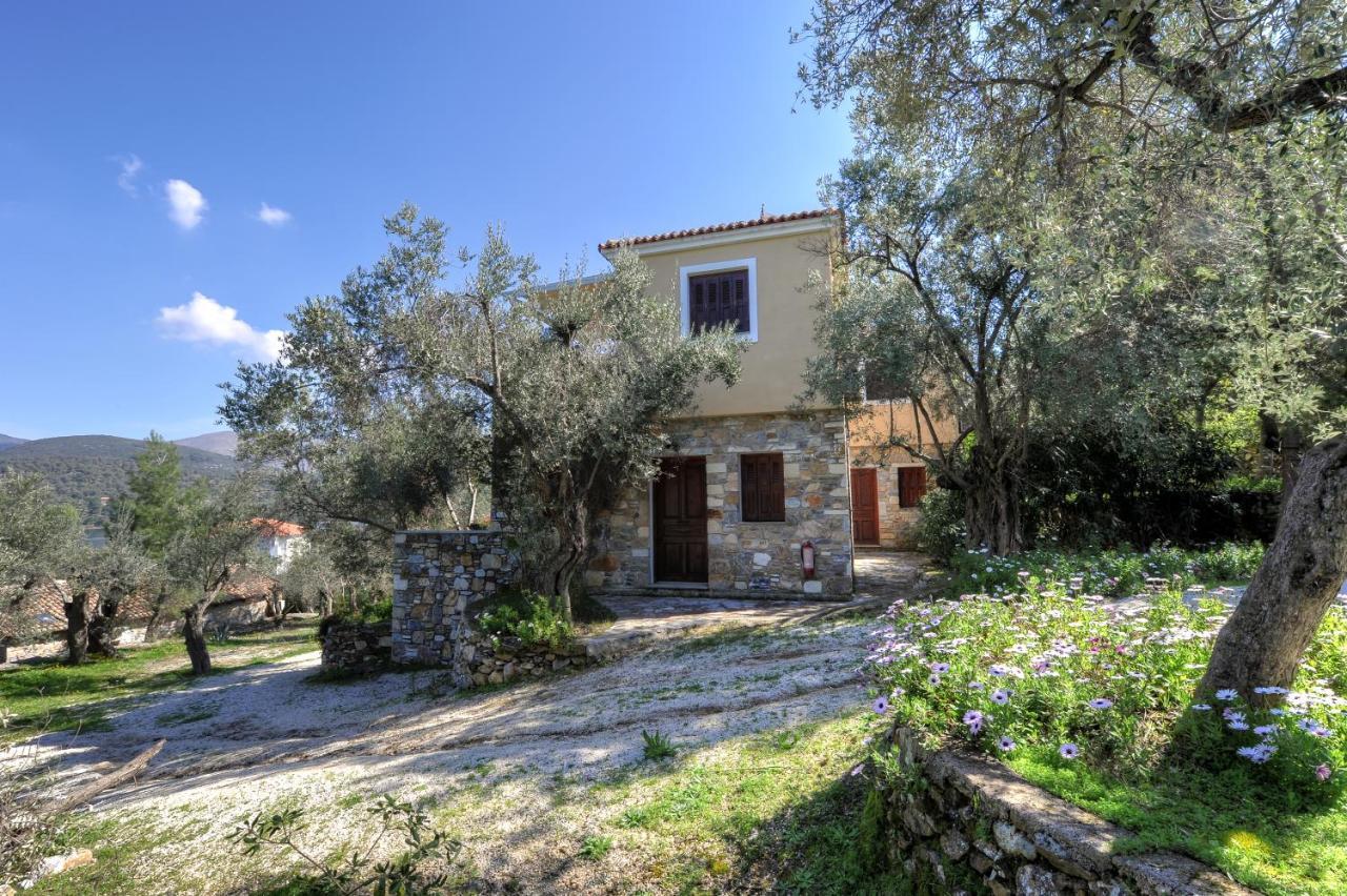 Gera'S Olive Grove - Elaionas Lesvou Hotell Marmaro  Exteriör bild